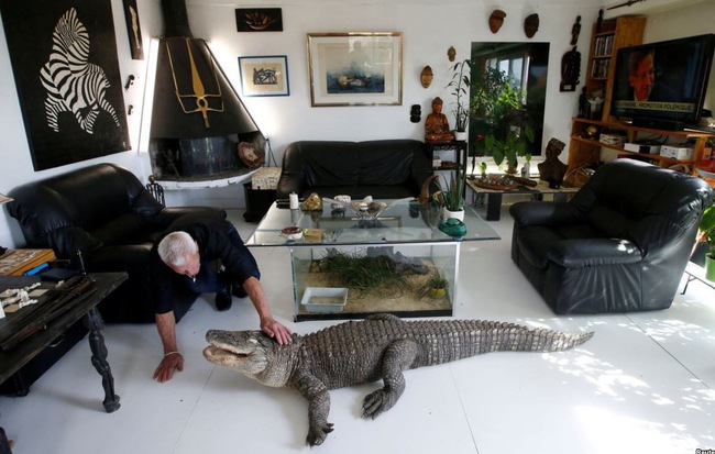 24h qua ảnh: Người đàn ông sống cùng cá sấu và rắn độc trong nhà