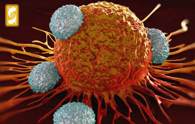 Chuyên gia hàng đầu VN nói về hiệu quả của thuốc miễn dịch trị ung thư giá 62 triệu/lọ