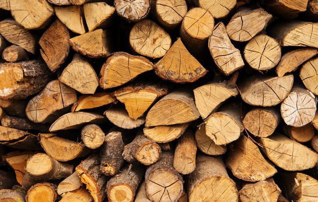 Các nhà khoa học đã tạo ra gỗ nhân tạo có thể chống nước và lửa, sản xuất cũng nhanh hơn so với trồng cây