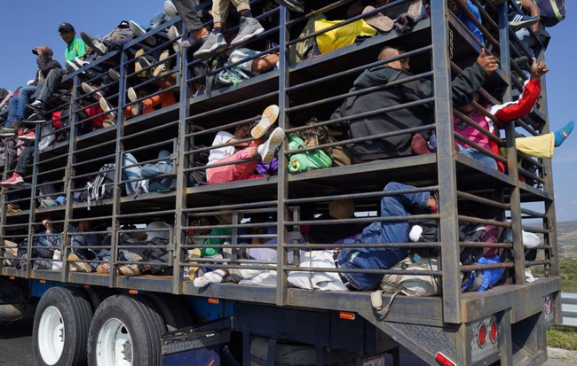24h qua ảnh: Người di cư ngồi trên xe tải chở gà để tới biên giới Mỹ
