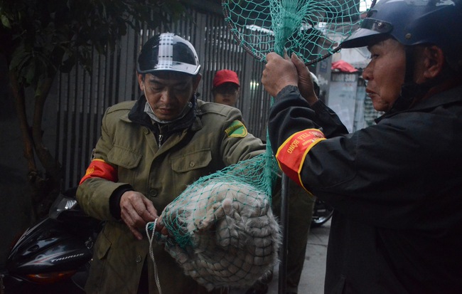 Hà Nội: Người đàn ông buồn rầu khi con chó của gia đình bị đội bắt chó thả rông cho vào lồng sắt, đưa về trụ sở phường