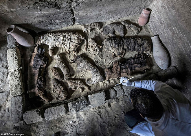 Kỳ lạ: Phát hiện nhiều xác ướp của bọ hung và mèo tại một ngôi mộ Ai Cập cổ đã 4.500 năm tuổi