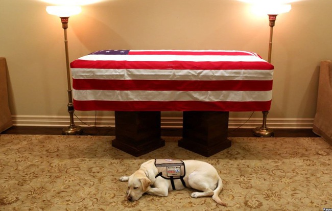 24h qua ảnh: Chú chó trung thành nằm bên linh cữu cố Tổng thống Mỹ George H.W. Bush