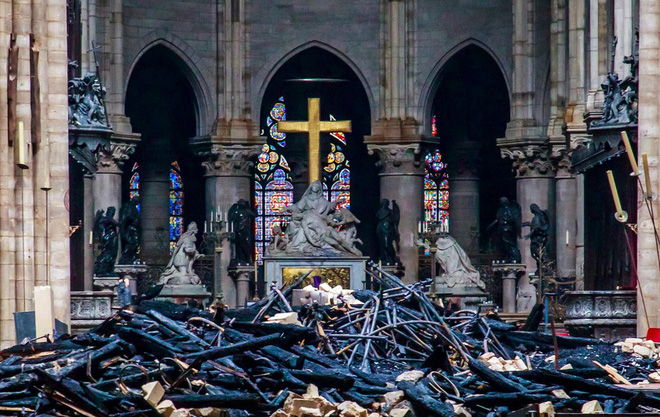 Nước Pháp không còn cây gỗ đủ cao để phục chế mái nhà thờ Đức Bà