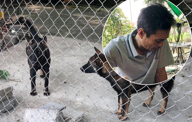 Nỗi đau của bố bé trai bị đàn chó cắn tử vong: "Con tôi sợ chó lắm, mọi ngày có chị nó ra đón, hôm qua chưa kịp ra thì..."