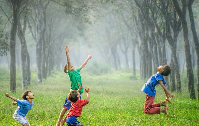 Lợi ích vô cùng to lớn khi sống trong một không gian xanh, nhất là từ thuở nhỏ