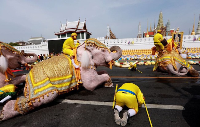 24h qua ảnh: Voi "quỳ" trước Hoàng cung Thái Lan mừng Quốc vương đăng quang