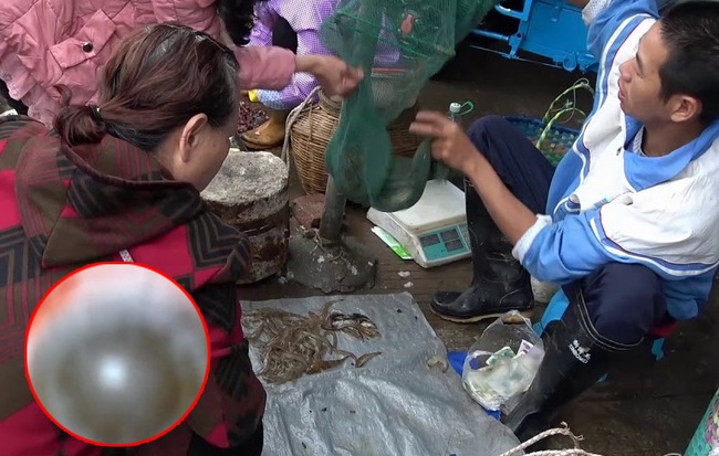 Người phụ nữ bị chảy máu mắt và có nguy cơ mù vĩnh viễn, nguyên nhân hóa ra từ việc đi chợ mua cá sống