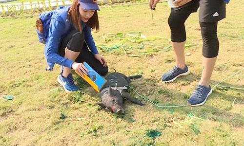 Cuộc đua kỳ thú 2019: Hành trình "thảm họa" của Hoa hậu Đỗ Mỹ Linh?