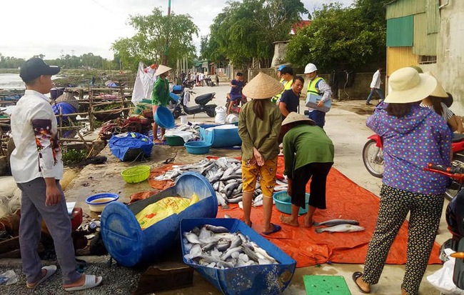 Xuất hiện thêm hàng tấn cá chết nổi trắng sông ở Hà Tĩnh