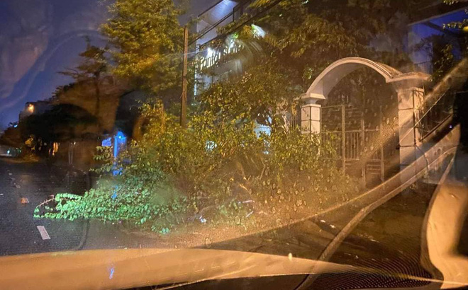 Bão đổ bộ trong đêm, cây ngã đổ la liệt, nhiều địa phương ở Phú Yên, Bình Định mất điện