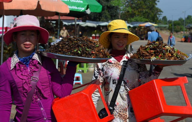 24h qua ảnh: Các cô gái bán dạo côn trùng rán ở Campuchia