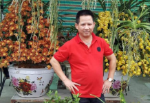 Khởi tố, bắt tạm giam chủ nhà hàng Nhắng Nướng Hiền Thiện ép nữ khách quỳ, chửi bới, đe dọa