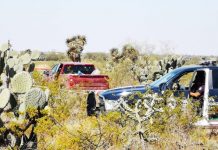 Bất ngờ phát hiện 12 thi thể trong xe ô-tô