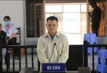 Đánh em trai bất tỉnh rồi kéo ra đường cho xe tông chết