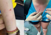 Bộ GD&ĐT chỉ đạo xử lý vụ bạo lực tại trường quốc tế American Academy