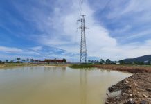 Nghệ An: Chây ì khắc phục vi phạm tại Dự án nông nghiệp chất lượng cao ở huyện Nghi Lộc