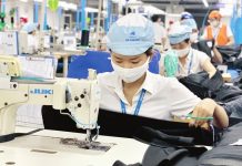 Doanh nghiệp Việt và tinh thần “nội sinh bất diệt”