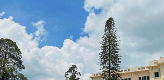 Con gái út MC Quyền Linh “lên đồ” sành điệu ở tuổi 15