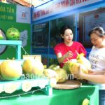 Đặc sản vùng đất Cầu Kè hội tụ về Festival 100 năm Dừa sáp Trà Vinh