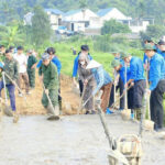 Dấu ấn thanh niên Yên Bái trong xây dựng nông thôn mới