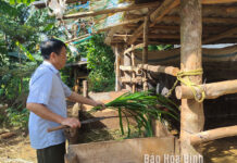 Thoát nghèo nhờ sử dụng hiệu quả vốn chính sách