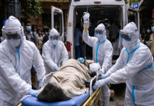 Bộ Y tế yêu cầu cơ sở khám chữa bệnh chủ động phòng chống bệnh do virus Nipah