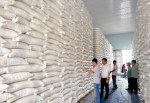 Việt Nam đạt kỷ lục dự trữ Nhà nước 500.000 tấn lúa gạo